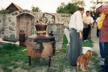 moonshine - �������