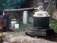 moonshine - �������