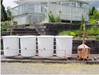 moonshine - �������