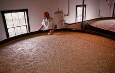 moonshine - �������