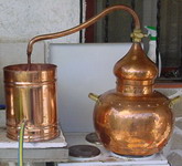 moonshine - �������