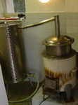 moonshine - �������