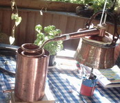 moonshine - �������