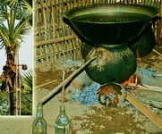 moonshine - �������