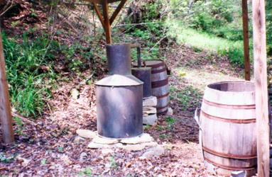 moonshine - �������