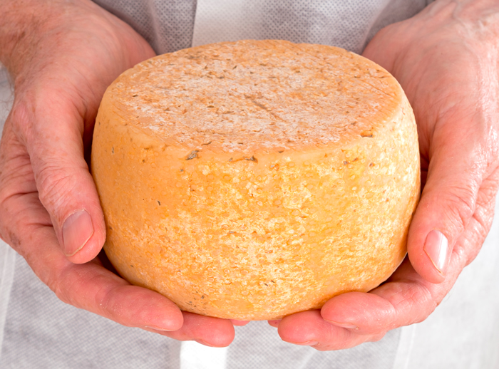 Приготовить сыр пармезан в домашних условиях