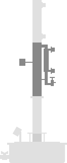 die pilze