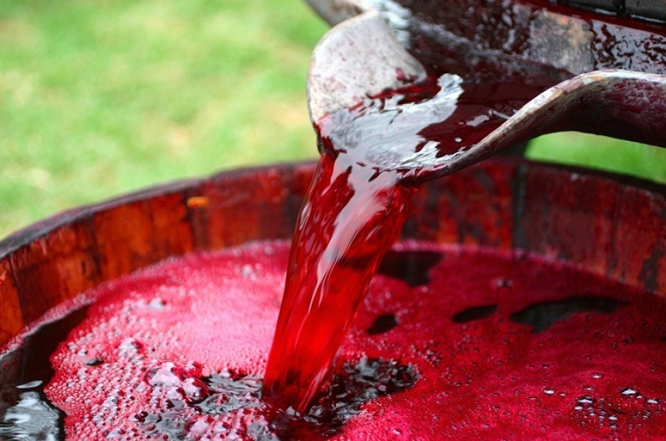 Красное винное сусло