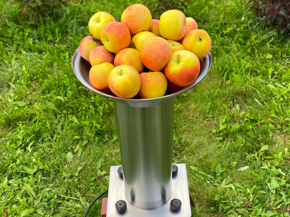 Яблоки для уксуса в воронке измельчителя фруктов