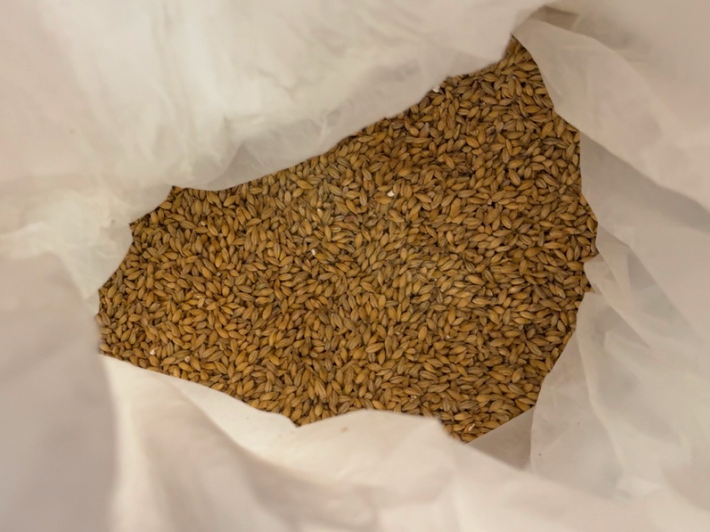 Ячменный солод в мешке