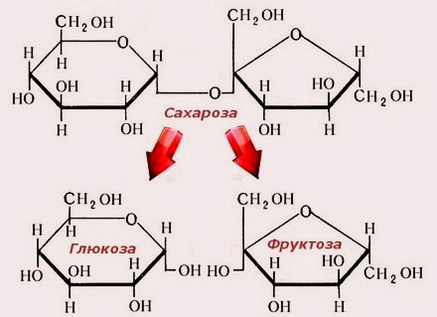 hidrolysis.jpg