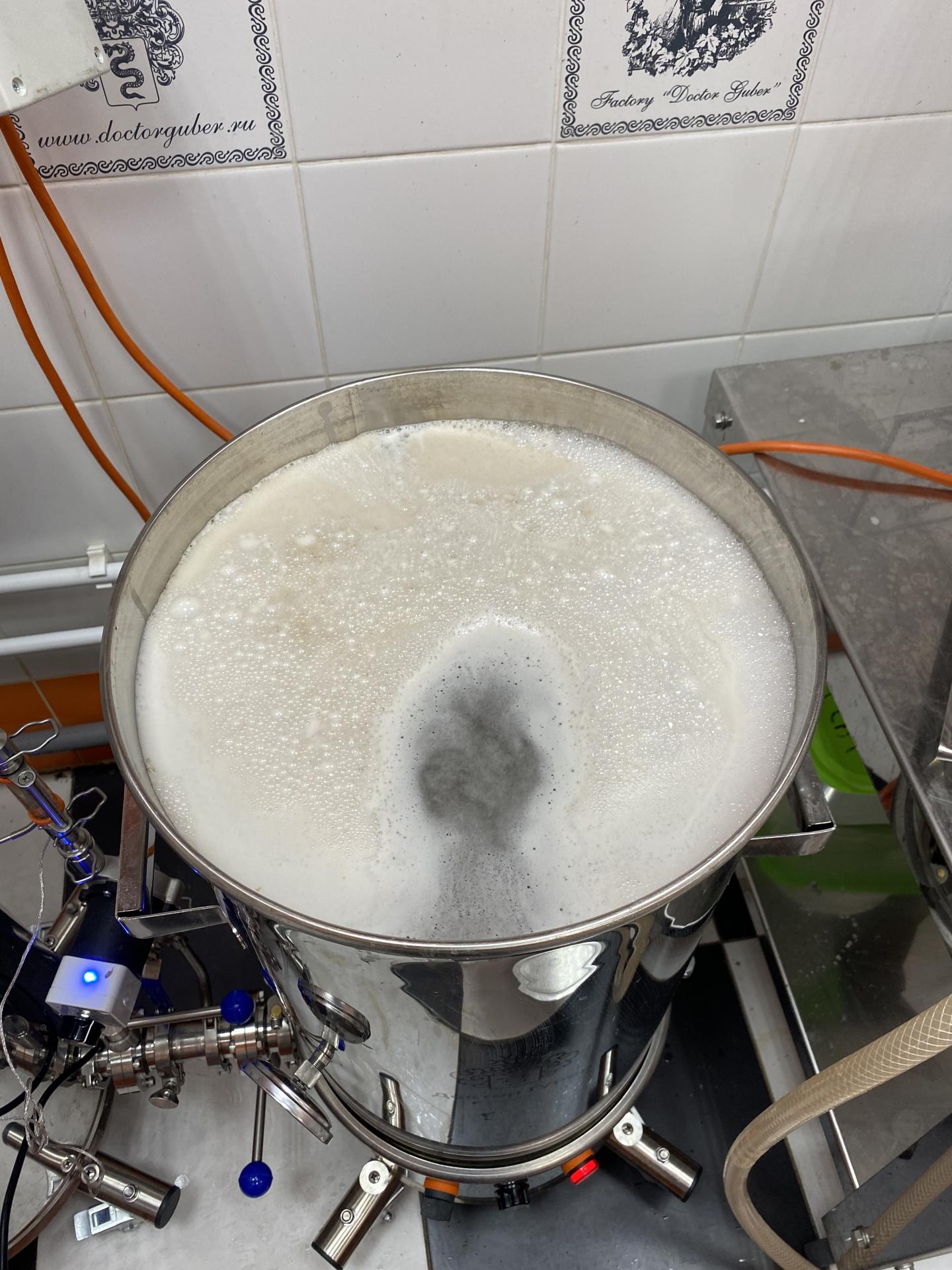 NEIPA