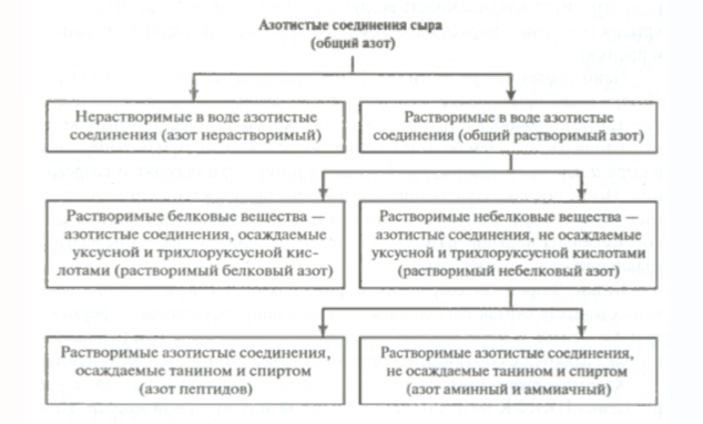 азотистые соединения сыра