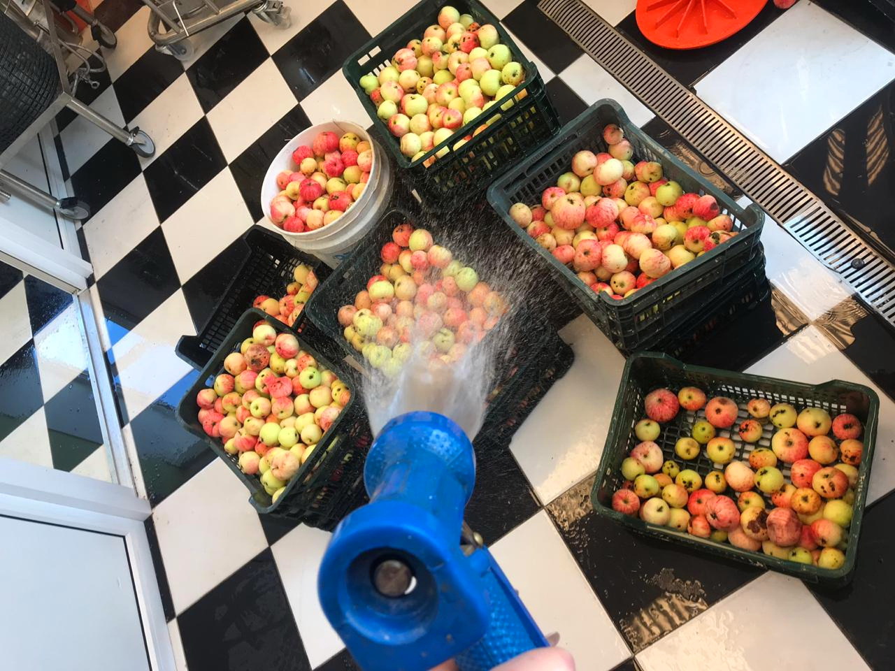 img 20190814 wa0013 Мальтодекстрин в виноделии как использовать