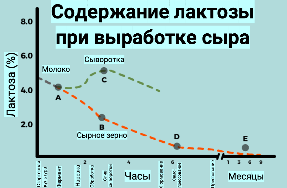 лактоза стадии