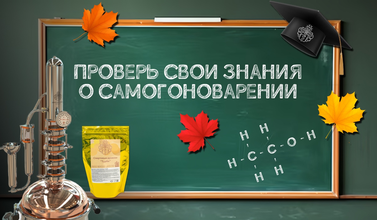 день знаний с доктор губер