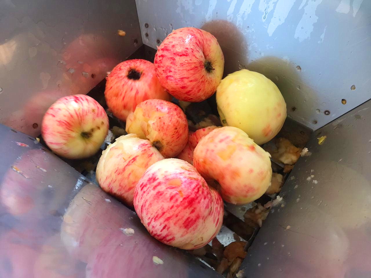 img 20190814 wa0061 Мальтодекстрин в виноделии как использовать