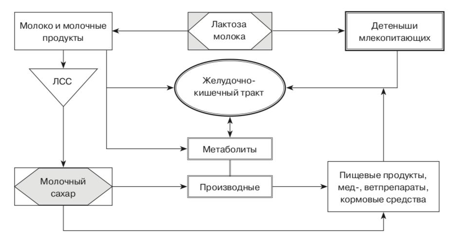 схема