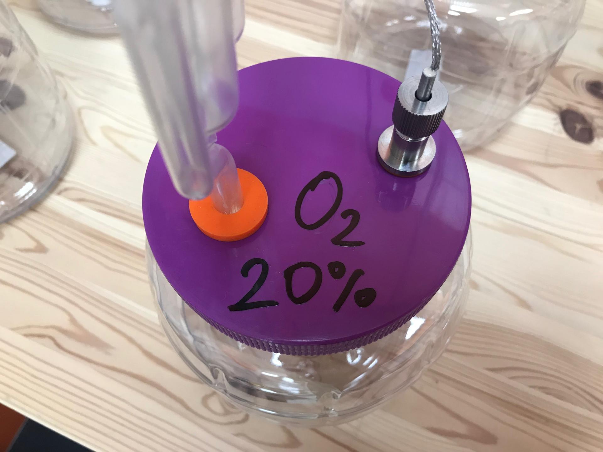 плотность браги 20%