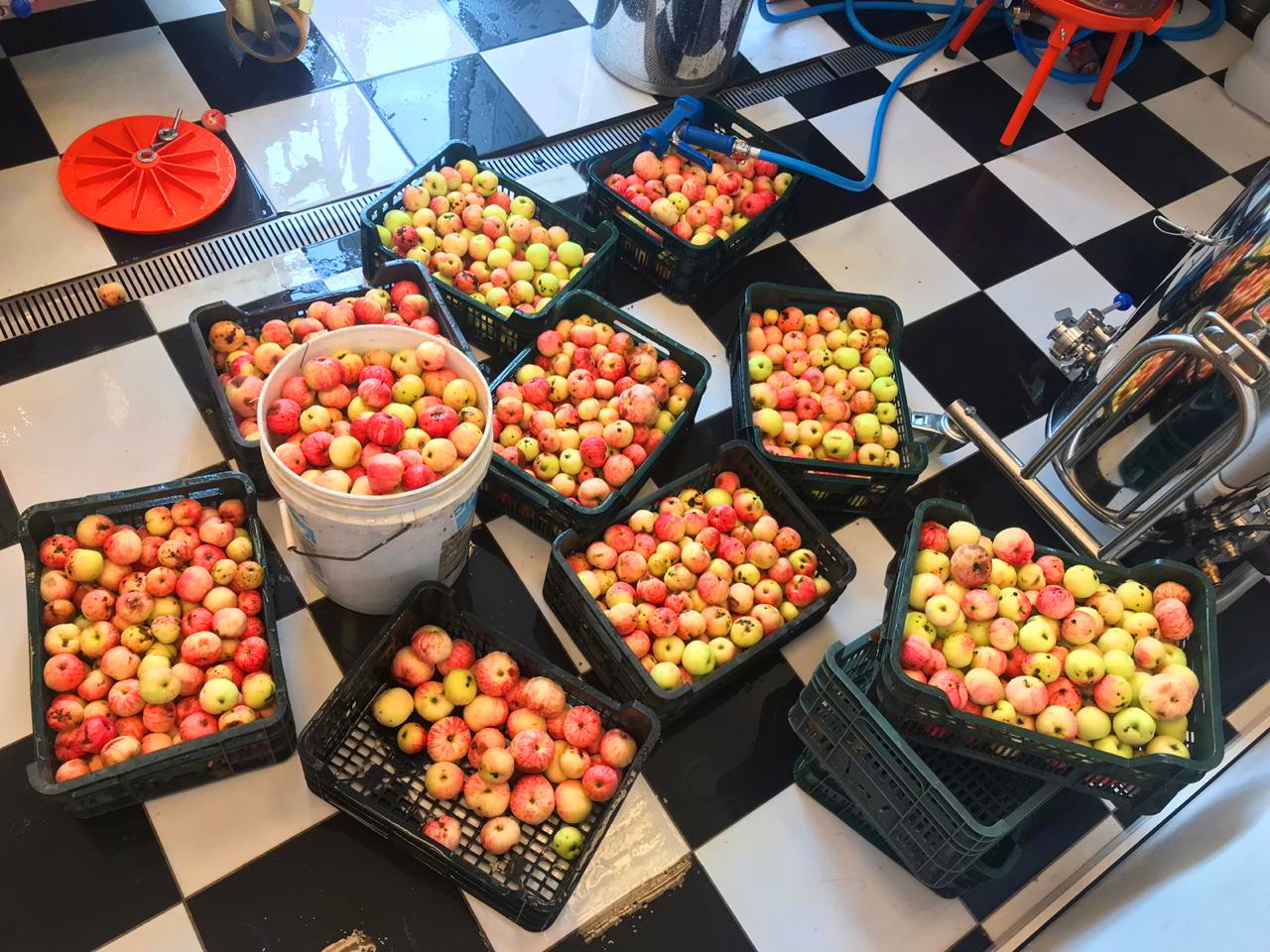 img 20190814 wa0019 Мальтодекстрин в виноделии как использовать