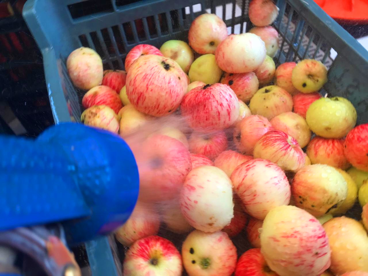 img 20190814 wa0012 Мальтодекстрин в виноделии как использовать