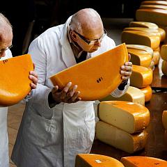Определение степени зрелости сыра
