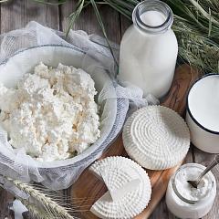 Пороки молока, влияющие на сыр