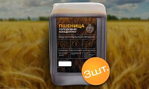 Солодовый концентрат пшеничный, 3 шт от Доктор Губер
