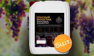 Концентрированный красный виноградный сок 5 кг, 5 шт от Доктор Губер